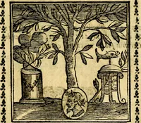 Picture 198 of 200 from Emblemi. Dal latino nel vulgare italiano ridotti, contenenti il fiore et la sostanza de' più scelti scrittori & delle più celebri discipline dell'vniuerso, ripieni di ottimi consigli & saluteuoli documenti, per l'vso ciuile et morale della vita humana (1626), leaf 322