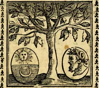 Picture 199 of 200 from Emblemi. Dal latino nel vulgare italiano ridotti, contenenti il fiore et la sostanza de' più scelti scrittori & delle più celebri discipline dell'vniuerso, ripieni di ottimi consigli & saluteuoli documenti, per l'vso ciuile et morale della vita humana (1626), leaf 324