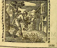Picture 21 of 200 from Emblemi. Dal latino nel vulgare italiano ridotti, contenenti il fiore et la sostanza de' più scelti scrittori & delle più celebri discipline dell'vniuerso, ripieni di ottimi consigli & saluteuoli documenti, per l'vso ciuile et morale della vita humana (1626), leaf 41