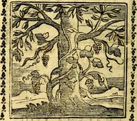 Picture 24 of 200 from Emblemi. Dal latino nel vulgare italiano ridotti, contenenti il fiore et la sostanza de' più scelti scrittori & delle più celebri discipline dell'vniuerso, ripieni di ottimi consigli & saluteuoli documenti, per l'vso ciuile et morale della vita humana (1626), leaf 45