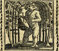 Picture 25 of 200 from Emblemi. Dal latino nel vulgare italiano ridotti, contenenti il fiore et la sostanza de' più scelti scrittori & delle più celebri discipline dell'vniuerso, ripieni di ottimi consigli & saluteuoli documenti, per l'vso ciuile et morale della vita humana (1626), leaf 46