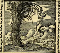 Picture 37 of 200 from Emblemi. Dal latino nel vulgare italiano ridotti, contenenti il fiore et la sostanza de' più scelti scrittori & delle più celebri discipline dell'vniuerso, ripieni di ottimi consigli & saluteuoli documenti, per l'vso ciuile et morale della vita humana (1626), leaf 64
