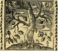 An illustration from Emblemi. Dal latino nel vulgare italiano ridotti, contenenti il fiore et la sostanza de' più scelti scrittori & delle più celebri discipline dell'vniuerso, ripieni di ottimi consigli & saluteuoli documenti, per l'vso ciuile et morale della vita humana (1626)