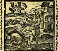 Picture 46 of 200 from Emblemi. Dal latino nel vulgare italiano ridotti, contenenti il fiore et la sostanza de' più scelti scrittori & delle più celebri discipline dell'vniuerso, ripieni di ottimi consigli & saluteuoli documenti, per l'vso ciuile et morale della vita humana (1626), leaf 77