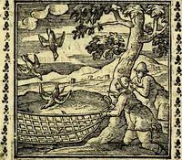 Picture 50 of 200 from Emblemi. Dal latino nel vulgare italiano ridotti, contenenti il fiore et la sostanza de' più scelti scrittori & delle più celebri discipline dell'vniuerso, ripieni di ottimi consigli & saluteuoli documenti, per l'vso ciuile et morale della vita humana (1626), leaf 84