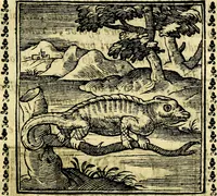 Picture 53 of 200 from Emblemi. Dal latino nel vulgare italiano ridotti, contenenti il fiore et la sostanza de' più scelti scrittori & delle più celebri discipline dell'vniuerso, ripieni di ottimi consigli & saluteuoli documenti, per l'vso ciuile et morale della vita humana (1626), leaf 88