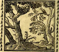 Picture 60 of 200 from Emblemi. Dal latino nel vulgare italiano ridotti, contenenti il fiore et la sostanza de' più scelti scrittori & delle più celebri discipline dell'vniuerso, ripieni di ottimi consigli & saluteuoli documenti, per l'vso ciuile et morale della vita humana (1626), leaf 97