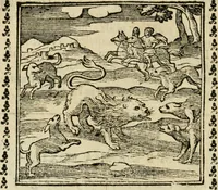 Picture 66 of 215 from Emblemi di Andrea Alciato, huomo chiarissimo, dal latino nel vulgare italiano ridotti (1626), leaf 101
