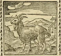 Picture 67 of 215 from Emblemi di Andrea Alciato, huomo chiarissimo, dal latino nel vulgare italiano ridotti (1626), leaf 102