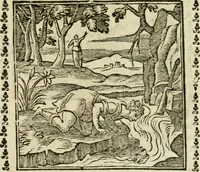 Picture 72 of 215 from Emblemi di Andrea Alciato, huomo chiarissimo, dal latino nel vulgare italiano ridotti (1626), leaf 109