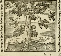Picture 76 of 215 from Emblemi di Andrea Alciato, huomo chiarissimo, dal latino nel vulgare italiano ridotti (1626), leaf 114