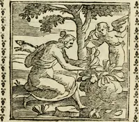 Picture 80 of 215 from Emblemi di Andrea Alciato, huomo chiarissimo, dal latino nel vulgare italiano ridotti (1626), leaf 120