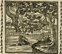 Picture 89 of 215 from Emblemi di Andrea Alciato, huomo chiarissimo, dal latino nel vulgare italiano ridotti (1626), leaf 131