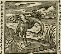 Picture 93 of 215 from Emblemi di Andrea Alciato, huomo chiarissimo, dal latino nel vulgare italiano ridotti (1626), leaf 135