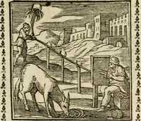 Picture 97 of 215 from Emblemi di Andrea Alciato, huomo chiarissimo, dal latino nel vulgare italiano ridotti (1626), leaf 140