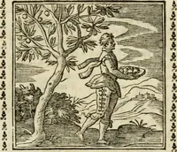 Picture 98 of 215 from Emblemi di Andrea Alciato, huomo chiarissimo, dal latino nel vulgare italiano ridotti (1626), leaf 142