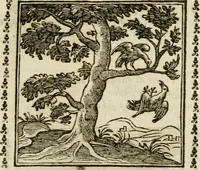 An illustration from Emblemi di Andrea Alciato, huomo chiarissimo, dal latino nel vulgare italiano ridotti (1626)