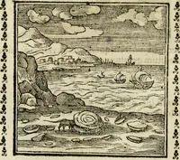 Picture 100 of 215 from Emblemi di Andrea Alciato, huomo chiarissimo, dal latino nel vulgare italiano ridotti (1626), leaf 145