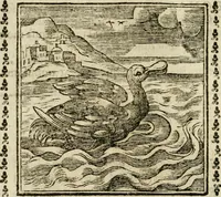 Picture 101 of 215 from Emblemi di Andrea Alciato, huomo chiarissimo, dal latino nel vulgare italiano ridotti (1626), leaf 147