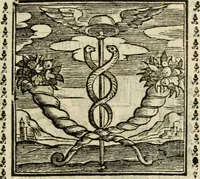 Picture 124 of 215 from Emblemi di Andrea Alciato, huomo chiarissimo, dal latino nel vulgare italiano ridotti (1626), leaf 186