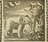 Picture 129 of 215 from Emblemi di Andrea Alciato, huomo chiarissimo, dal latino nel vulgare italiano ridotti (1626), leaf 193