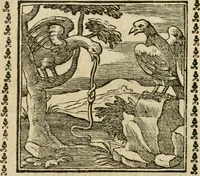 Picture 135 of 215 from Emblemi di Andrea Alciato, huomo chiarissimo, dal latino nel vulgare italiano ridotti (1626), leaf 201