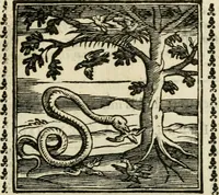 Picture 138 of 215 from Emblemi di Andrea Alciato, huomo chiarissimo, dal latino nel vulgare italiano ridotti (1626), leaf 206