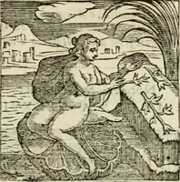 Picture 142 of 215 from Emblemi di Andrea Alciato, huomo chiarissimo, dal latino nel vulgare italiano ridotti (1626), leaf 212