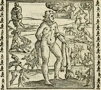 Picture 144 of 215 from Emblemi di Andrea Alciato, huomo chiarissimo, dal latino nel vulgare italiano ridotti (1626), leaf 215