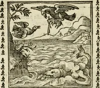 Picture 148 of 215 from Emblemi di Andrea Alciato, huomo chiarissimo, dal latino nel vulgare italiano ridotti (1626), leaf 221