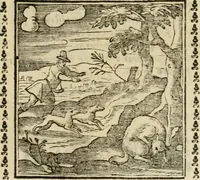 Picture 159 of 215 from Emblemi di Andrea Alciato, huomo chiarissimo, dal latino nel vulgare italiano ridotti (1626), leaf 236