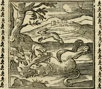 Picture 160 of 215 from Emblemi di Andrea Alciato, huomo chiarissimo, dal latino nel vulgare italiano ridotti (1626), leaf 238