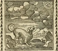 Picture 171 of 215 from Emblemi di Andrea Alciato, huomo chiarissimo, dal latino nel vulgare italiano ridotti (1626), leaf 254