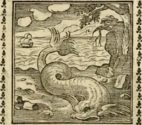 Picture 173 of 215 from Emblemi di Andrea Alciato, huomo chiarissimo, dal latino nel vulgare italiano ridotti (1626), leaf 258