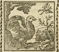Picture 174 of 215 from Emblemi di Andrea Alciato, huomo chiarissimo, dal latino nel vulgare italiano ridotti (1626), leaf 261
