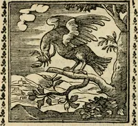 An illustration from Emblemi di Andrea Alciato, huomo chiarissimo, dal latino nel vulgare italiano ridotti (1626)