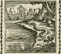 Picture 196 of 215 from Emblemi di Andrea Alciato, huomo chiarissimo, dal latino nel vulgare italiano ridotti (1626), leaf 297