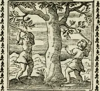 Picture 197 of 215 from Emblemi di Andrea Alciato, huomo chiarissimo, dal latino nel vulgare italiano ridotti (1626), leaf 298