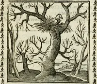 Picture 198 of 215 from Emblemi di Andrea Alciato, huomo chiarissimo, dal latino nel vulgare italiano ridotti (1626), leaf 300