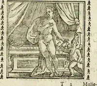 Picture 200 of 215 from Emblemi di Andrea Alciato, huomo chiarissimo, dal latino nel vulgare italiano ridotti (1626), leaf 302