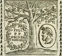 Picture 202 of 215 from Emblemi di Andrea Alciato, huomo chiarissimo, dal latino nel vulgare italiano ridotti (1626), leaf 309