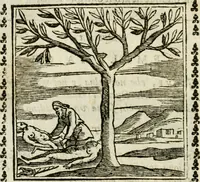 An illustration from Emblemi di Andrea Alciato, huomo chiarissimo, dal latino nel vulgare italiano ridotti (1626)