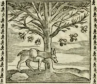 Picture 205 of 215 from Emblemi di Andrea Alciato, huomo chiarissimo, dal latino nel vulgare italiano ridotti (1626), leaf 313