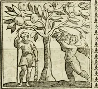 Picture 206 of 215 from Emblemi di Andrea Alciato, huomo chiarissimo, dal latino nel vulgare italiano ridotti (1626), leaf 314