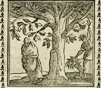 Picture 211 of 215 from Emblemi di Andrea Alciato, huomo chiarissimo, dal latino nel vulgare italiano ridotti (1626), leaf 321