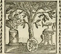 Picture 212 of 215 from Emblemi di Andrea Alciato, huomo chiarissimo, dal latino nel vulgare italiano ridotti (1626), leaf 322