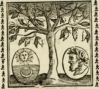 Picture 213 of 215 from Emblemi di Andrea Alciato, huomo chiarissimo, dal latino nel vulgare italiano ridotti (1626), leaf 324