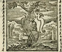 Picture 21 of 215 from Emblemi di Andrea Alciato, huomo chiarissimo, dal latino nel vulgare italiano ridotti (1626), leaf 39