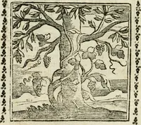 Picture 26 of 215 from Emblemi di Andrea Alciato, huomo chiarissimo, dal latino nel vulgare italiano ridotti (1626), leaf 45