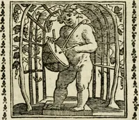 Picture 27 of 215 from Emblemi di Andrea Alciato, huomo chiarissimo, dal latino nel vulgare italiano ridotti (1626), leaf 46